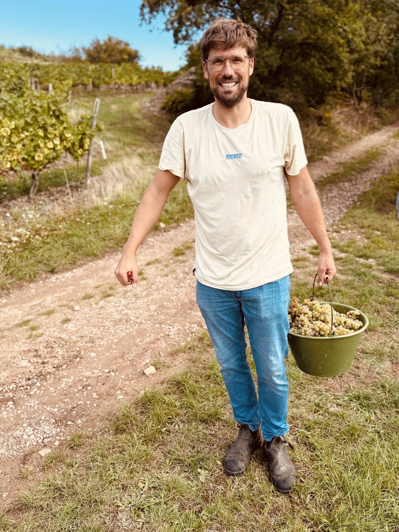 Tobias Knuff mit der ersten Rieslingernte in der Heerkretz